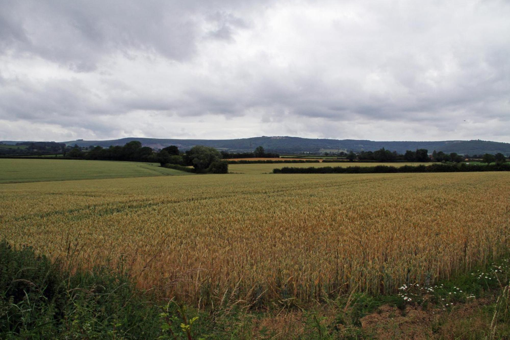 Отель Oyo White Horse Hotel, East Thirsk Bagby