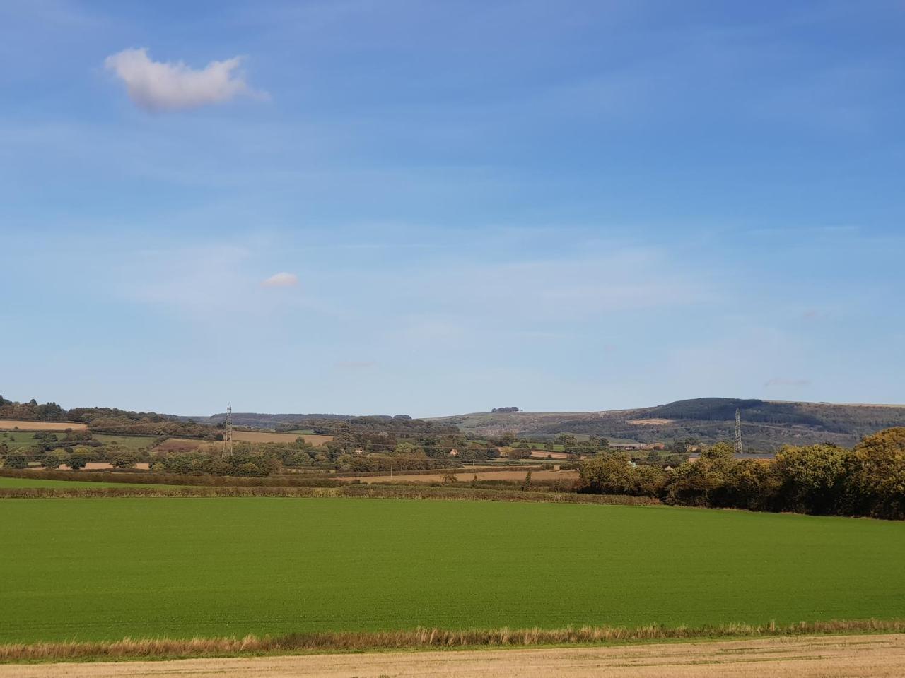 Oyo White Horse Hotel, East Thirsk Отель Bagby